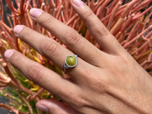 Load image into Gallery viewer, Turtle Jasper Wire Wrapped Ring