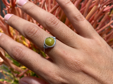 Load image into Gallery viewer, Turtle Jasper Wire Wrapped Ring