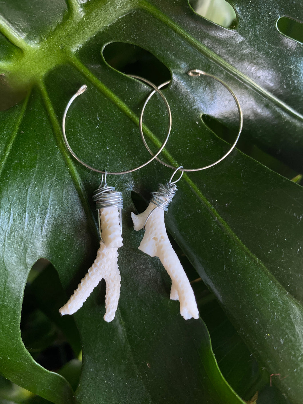 Coral earrings