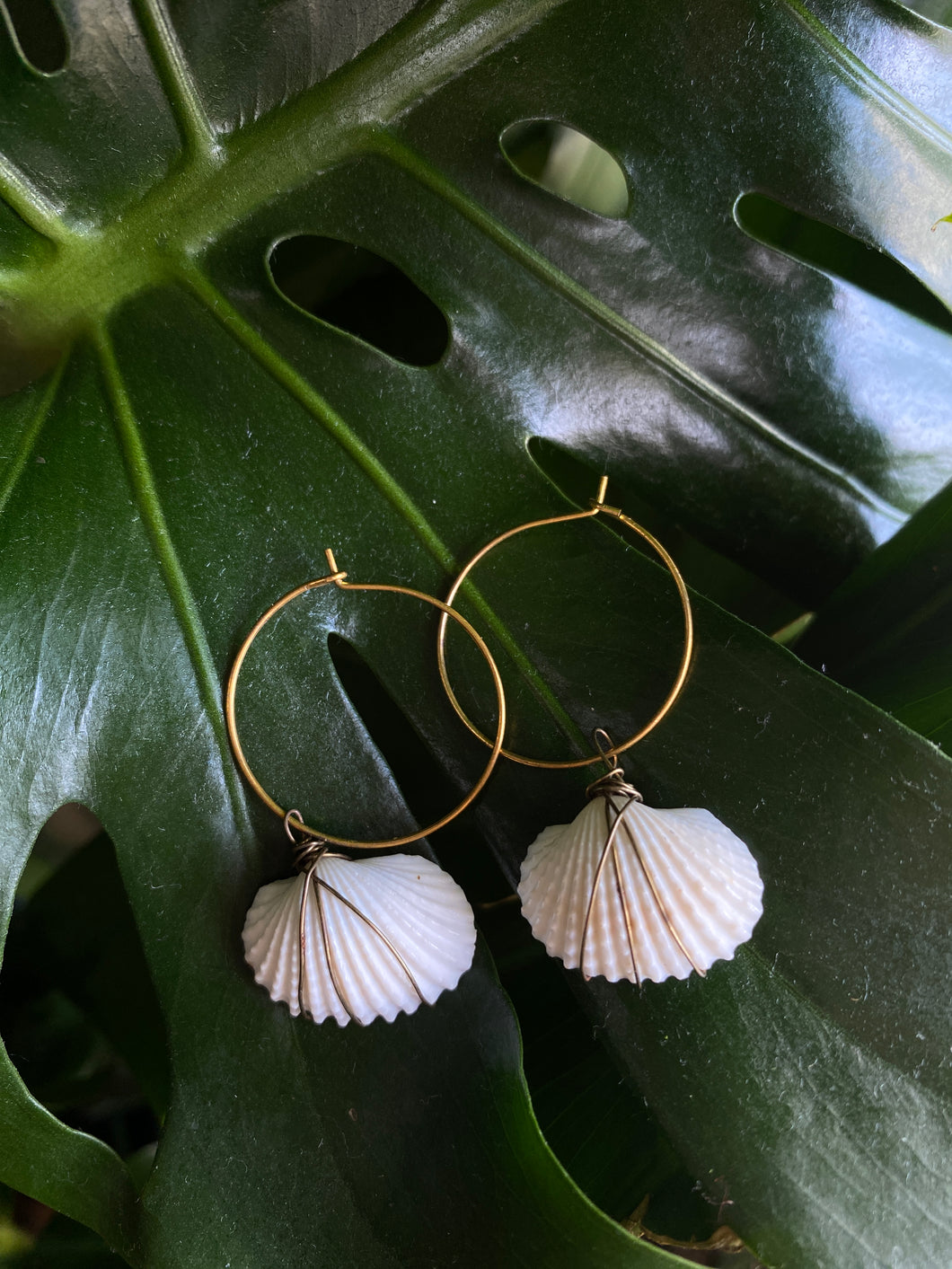 Seashell earrings