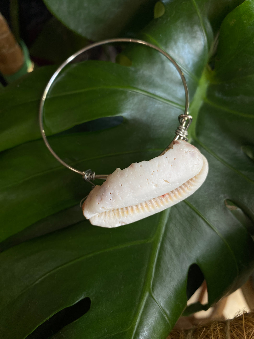 Cowrie shell bracelet