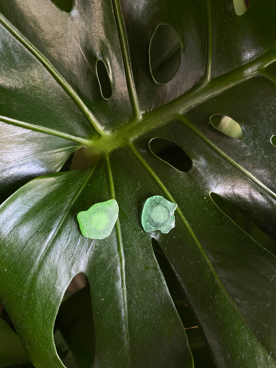 Green Seaglass studs