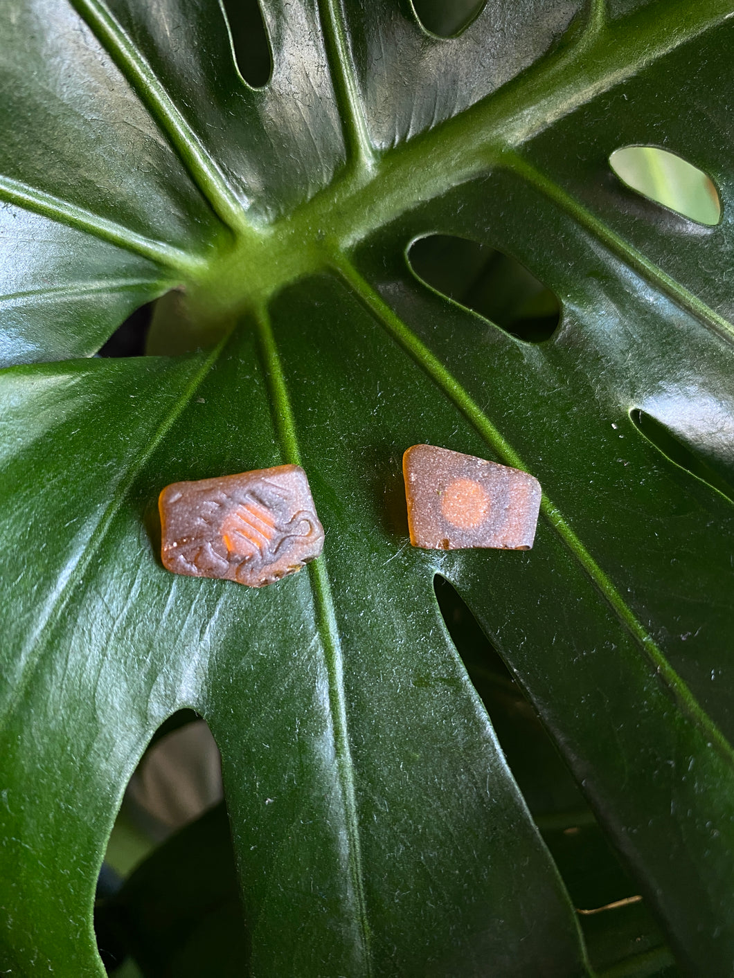 Brown Seaglass stud earrings