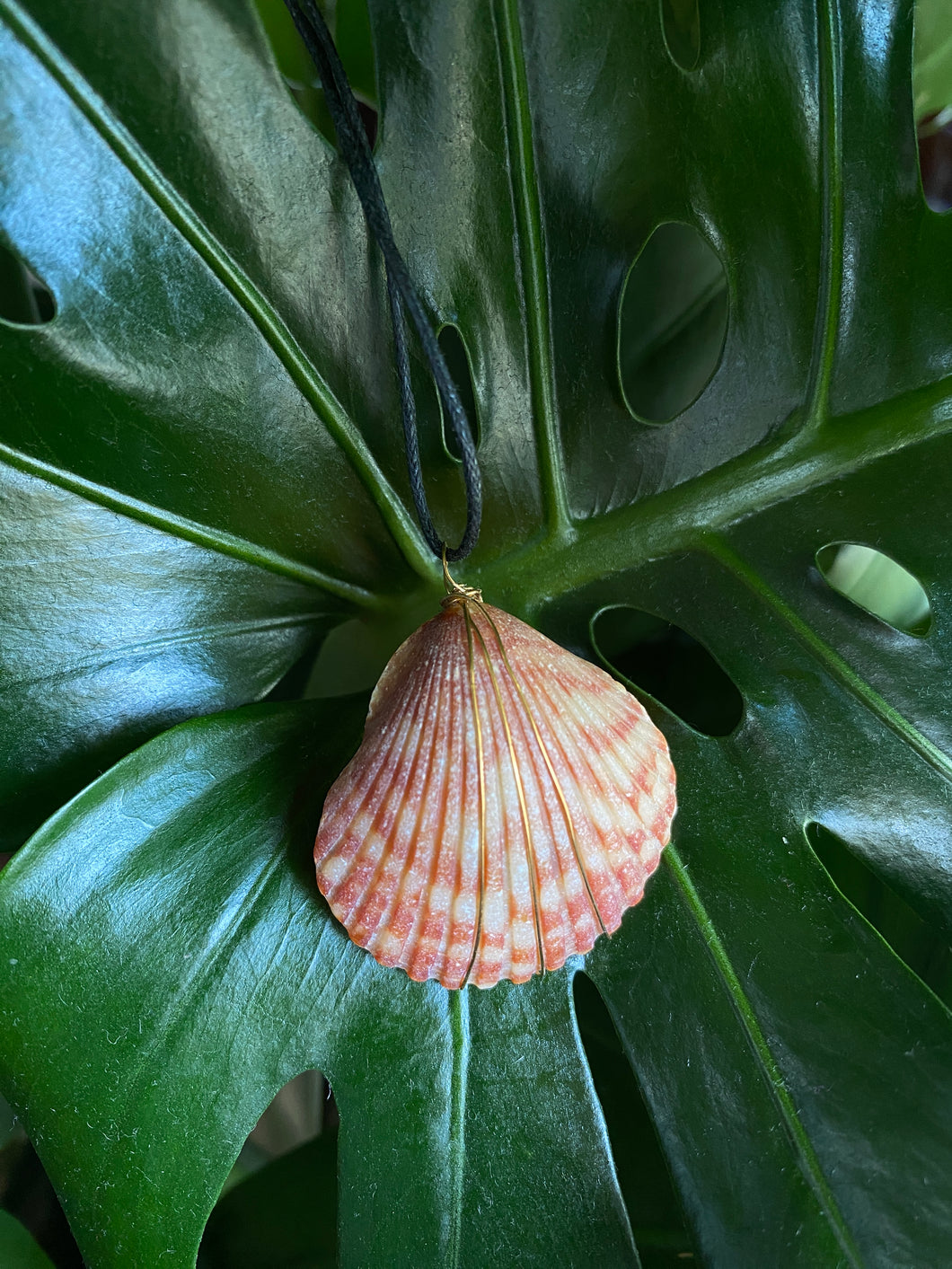 Seashell necklace