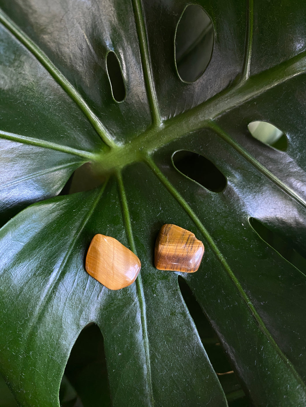 Tiger Eye stud earrings