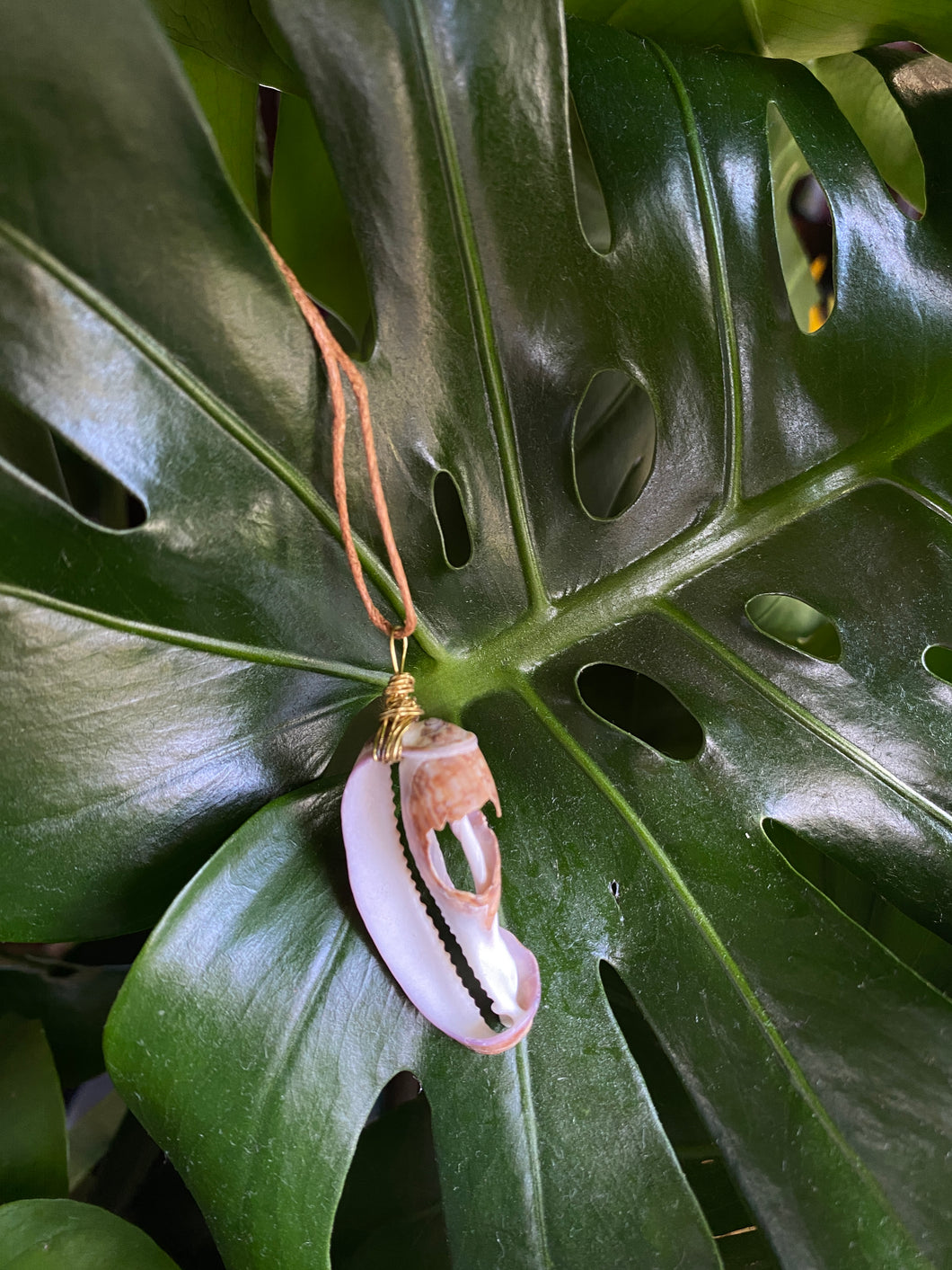 Seashell necklace