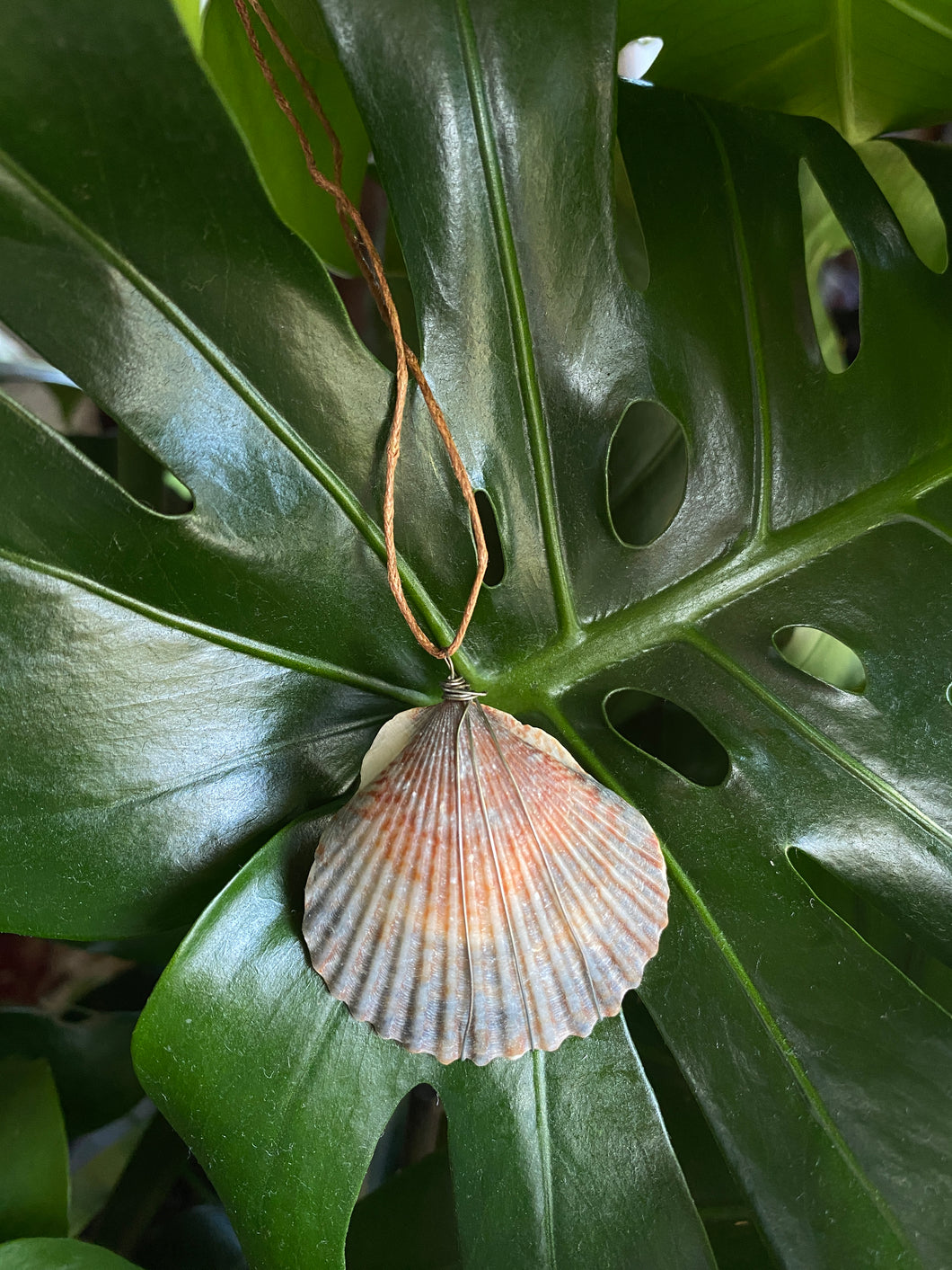 Seashell necklace