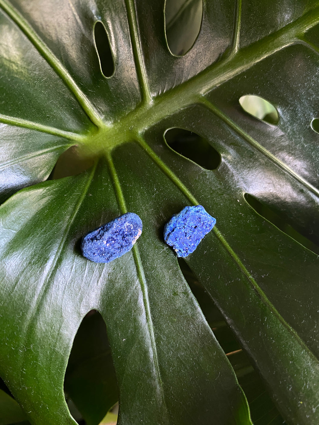 Azurite stud earrings