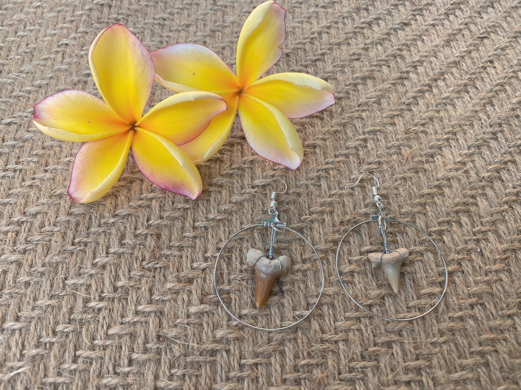 Shark tooth earrings