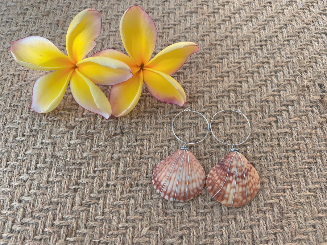 Seashell earrings