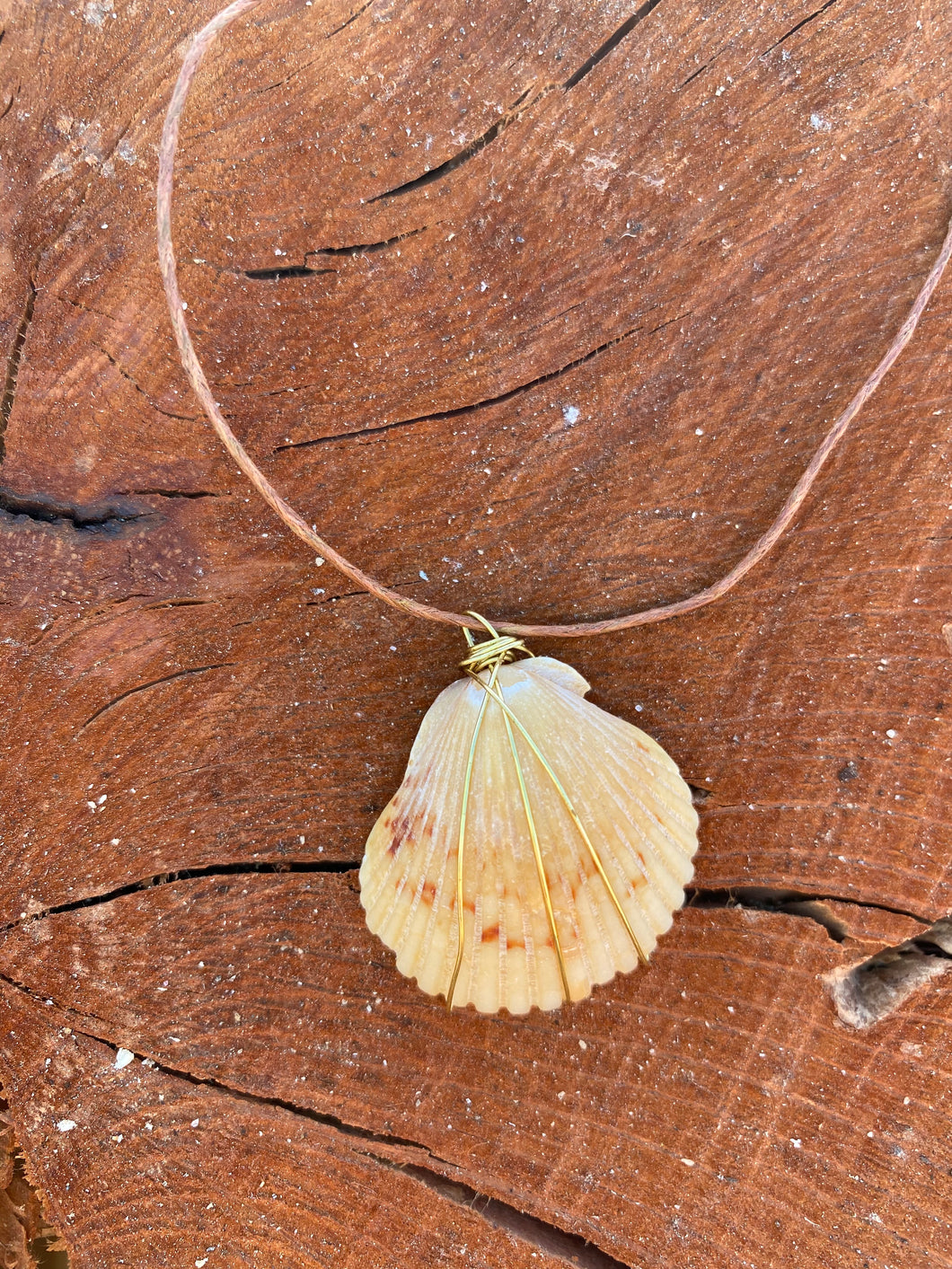 Seashell Adjustable Necklace