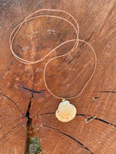 Load image into Gallery viewer, Seashell Adjustable Necklace
