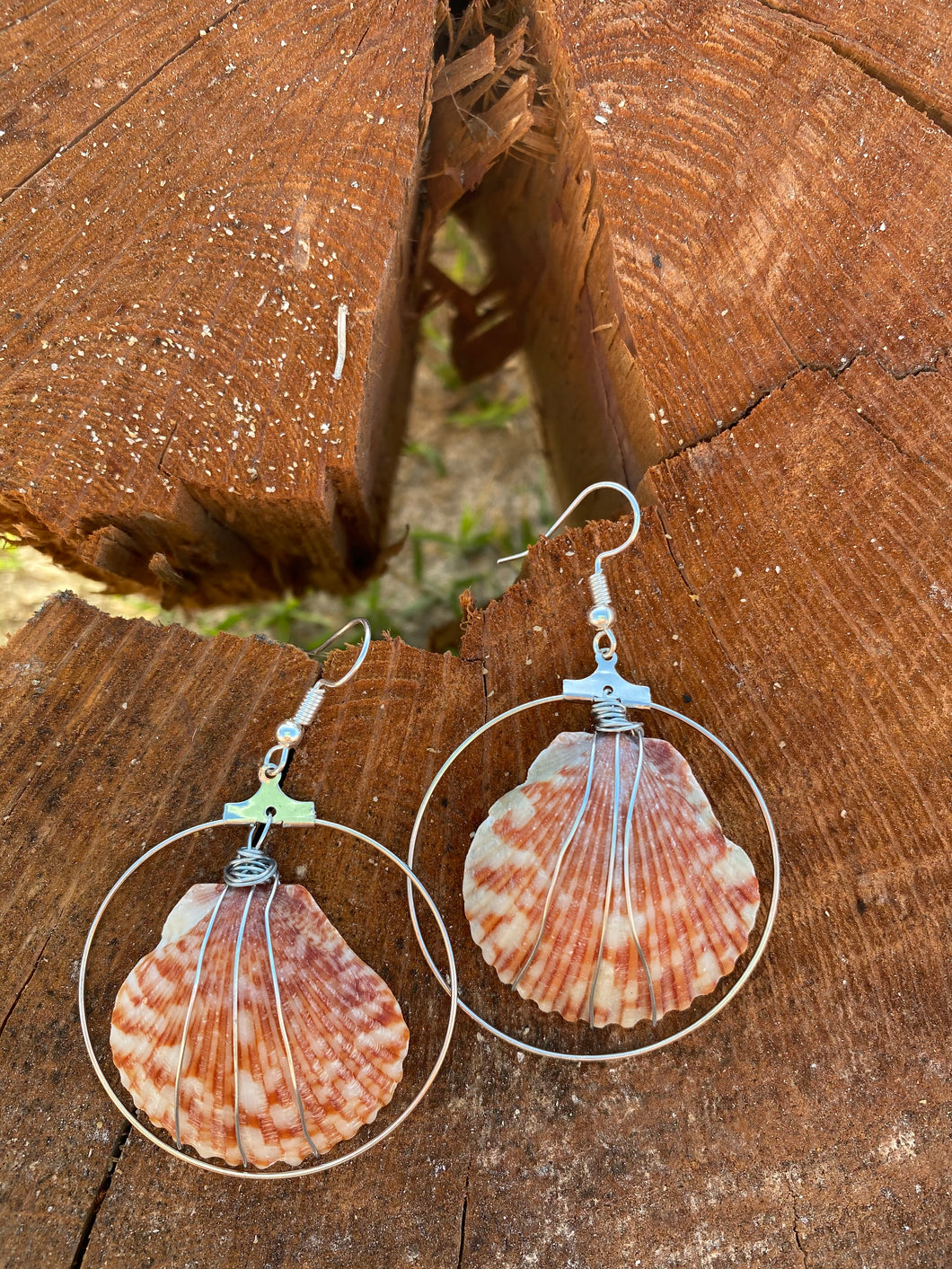 Seashell Circle Earrings