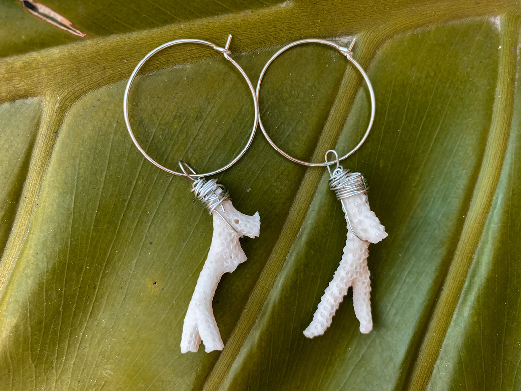 Coral Earrings