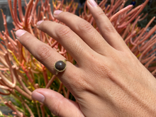 Load image into Gallery viewer, Choclate Jasper Wire Wrapped Ring
