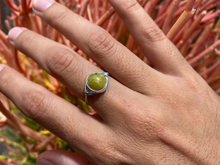 Load image into Gallery viewer, Turtle Jasper Wire Wrapped Ring
