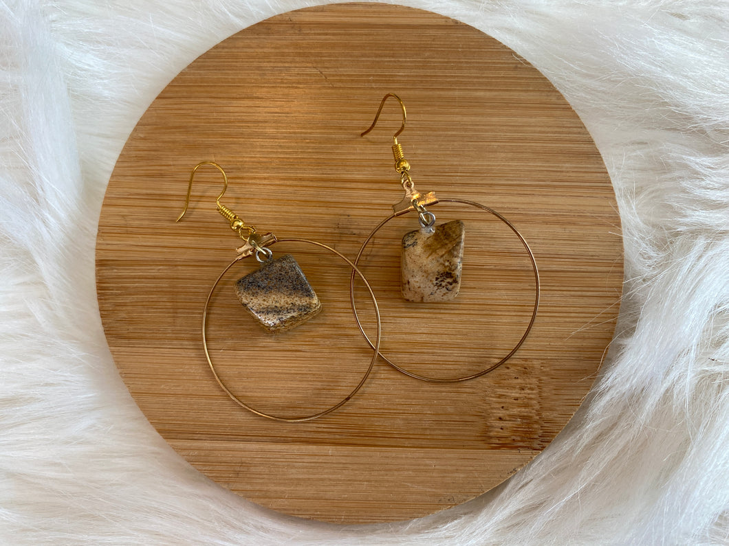 Petrified wood earrings